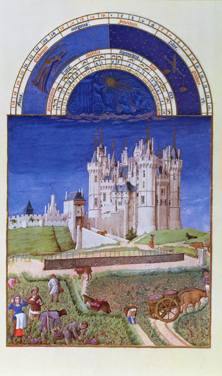 Faksimile av september: høsting av druer av brødrene Limbourg, fra Tres Riches Heures du Duc de Berry (for original se 8441) av French School