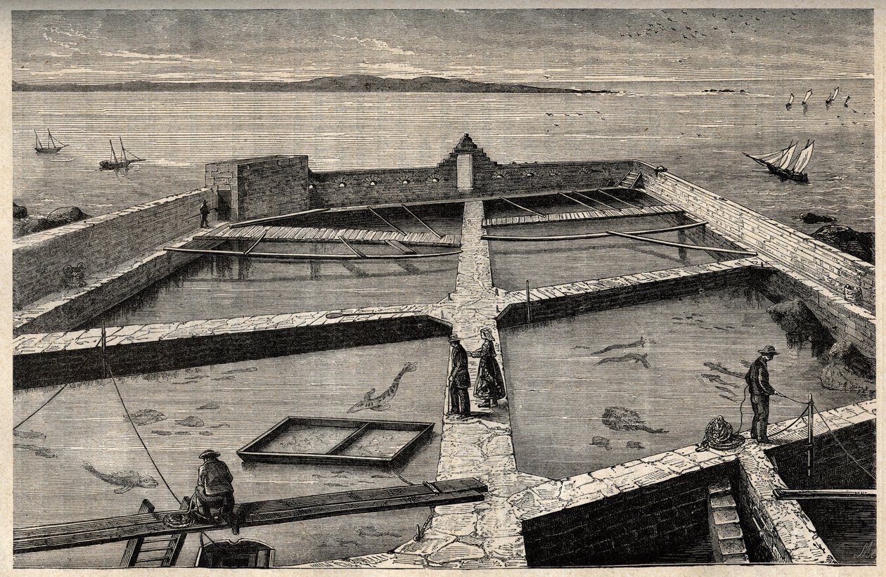 Fiskeoppdrett i Concarneau - Bretagne - Establishment de pisciculture - Concarneau - Finistere - Bretagne - gravering i "" PATRIE" - BILDEKRAV BESKRIVELSE AV FRANKRIKE I 6 BIND AV LUCIEN HUARD - slutten av 1800-tallet av French School