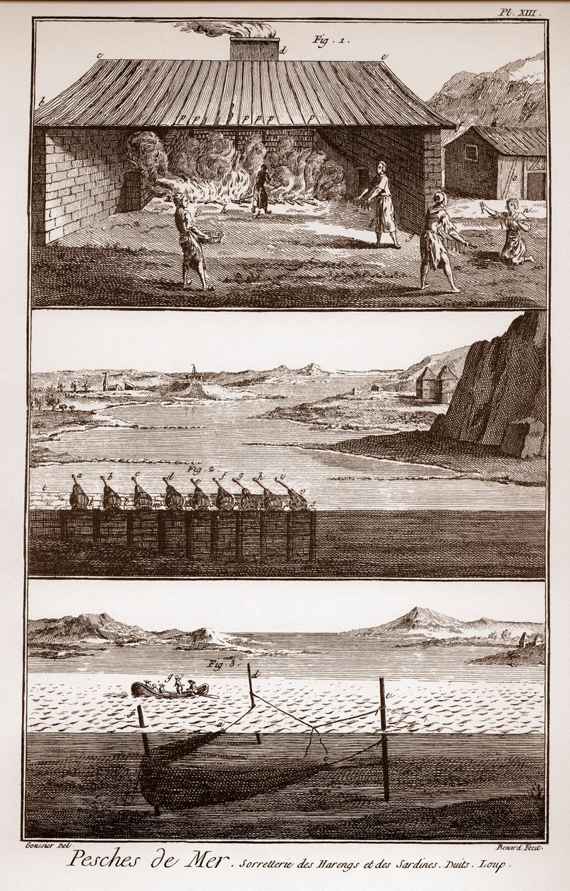 Fiske, sild og sardiner - Peches de Mer - Sorretterie des herring et des sardines - "" La Grande Encyclopédie, ou Dictionnaire Raisonne des Sciences, des Arts et des Metiers"" (Encyclopedia or Dictionary of the Sciences, Arts and Professions) av Deni av French School
