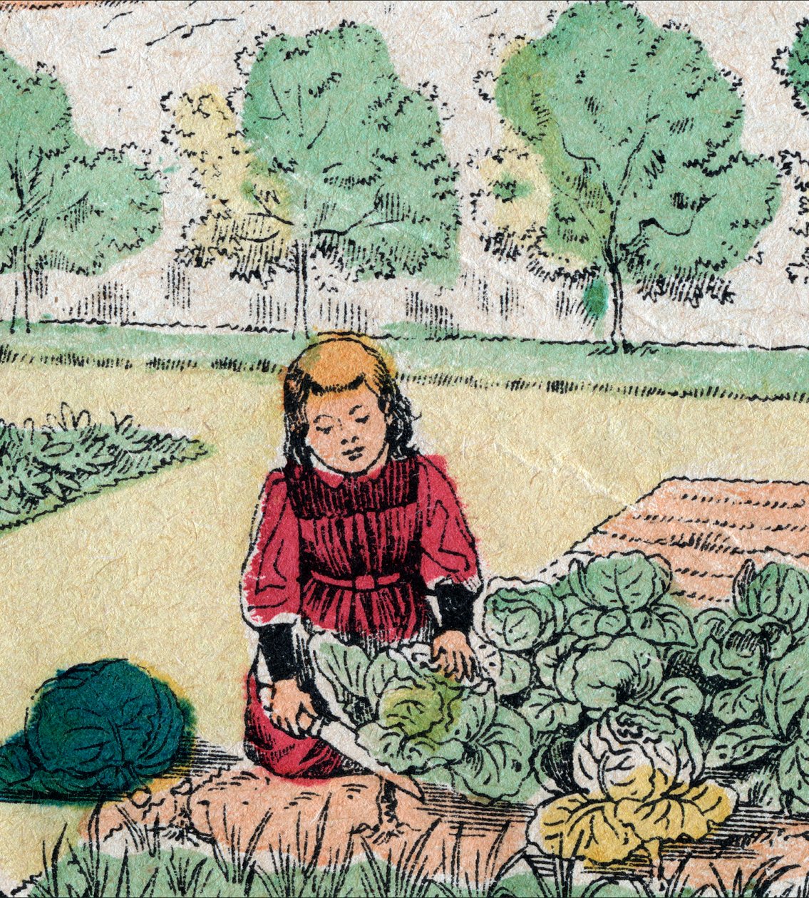 Fransk tro: En liten jente, som tror at babyer er født i kål eller roser, skjærer spirene til en grønnsakshage - Epinalt bilde - 1800-tallet (gravering) av French School