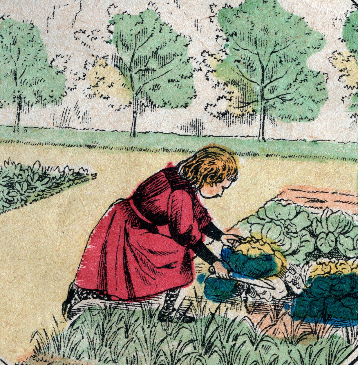 Fransk tro: En liten jente, som tror at babyer er født i kål eller roser, skjærer spirene til en grønnsakshage - Epinalt bilde - 1800-tallet (gravering) av French School