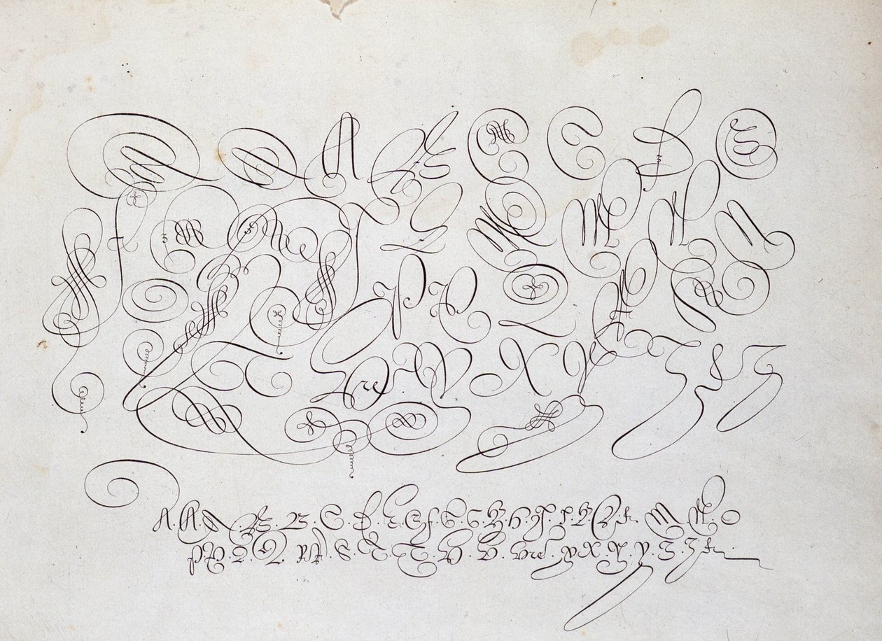 Fransk kalligrafi: Plate med kapital, gravering av Frisius, kongens kalkograf av Robert Vignon i skriftens hage rundt 1600. av French School