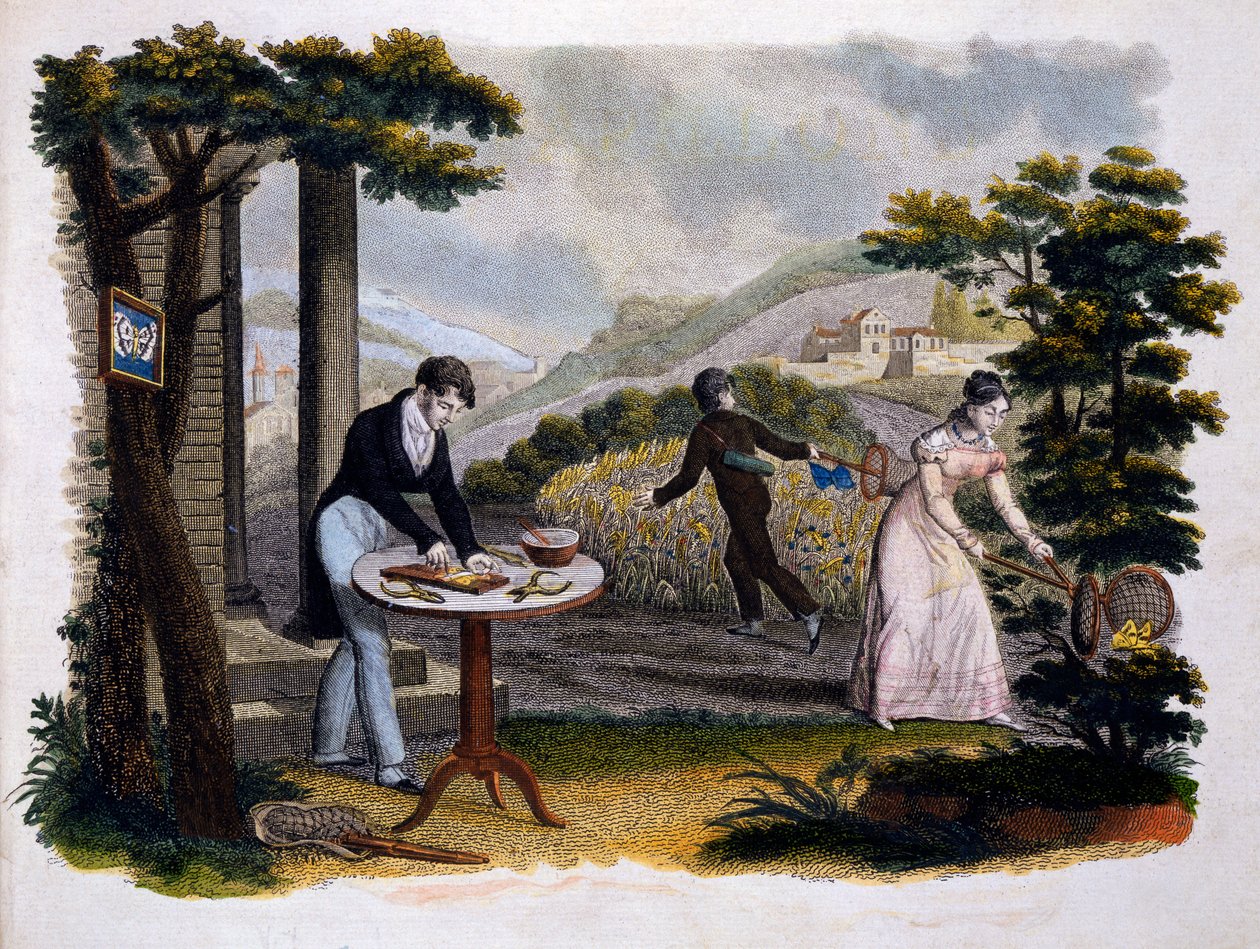 Frontispice fra Les Papillons... av Eugene Balland (1796-c.1850), utgitt av P. Blanchard, Lecerf, Paris, 1823 (fargegravering) av French School