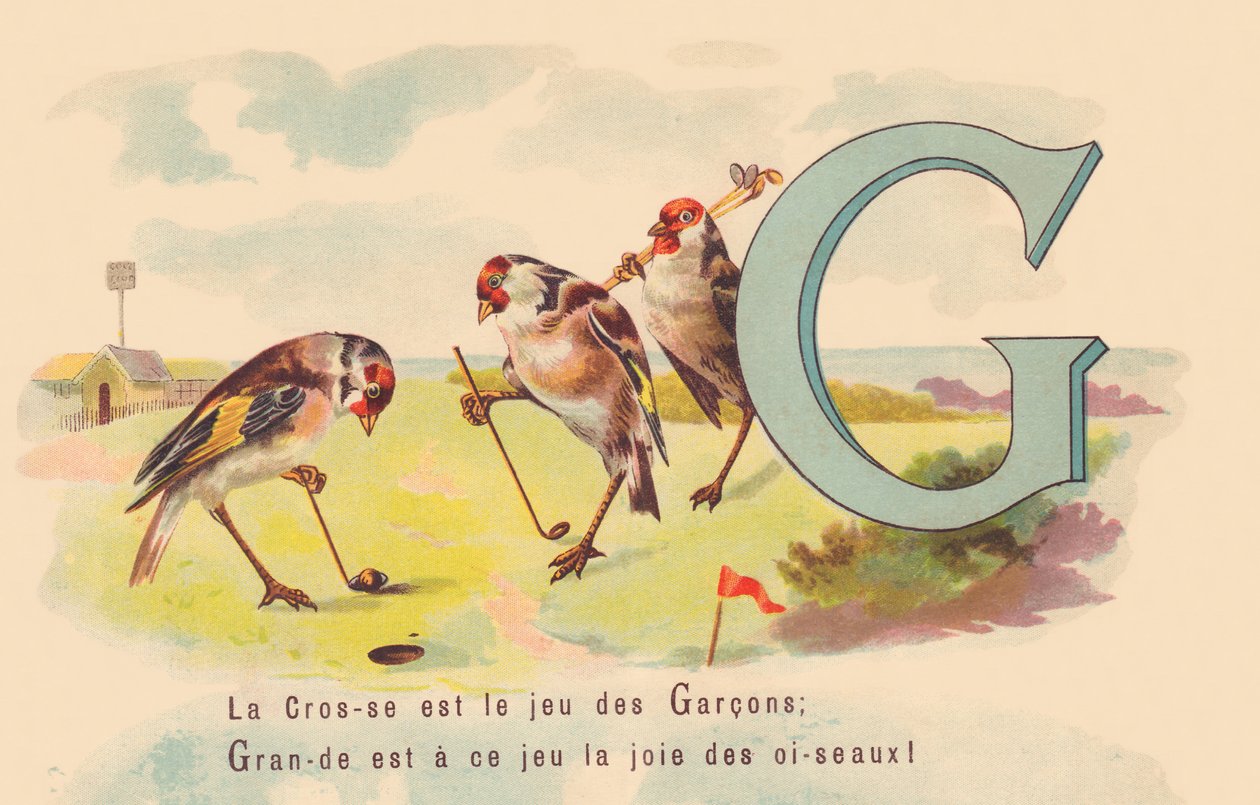 G: Lacrosse er guttenes spill; Flott er fuglenes glede ved dette spillet av French School