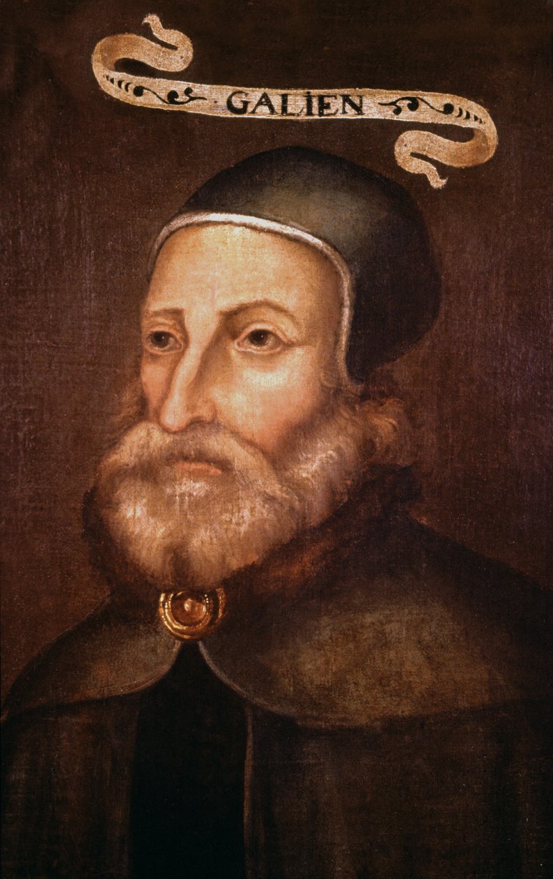 Galen. 1600-tallet (maleri) av French School
