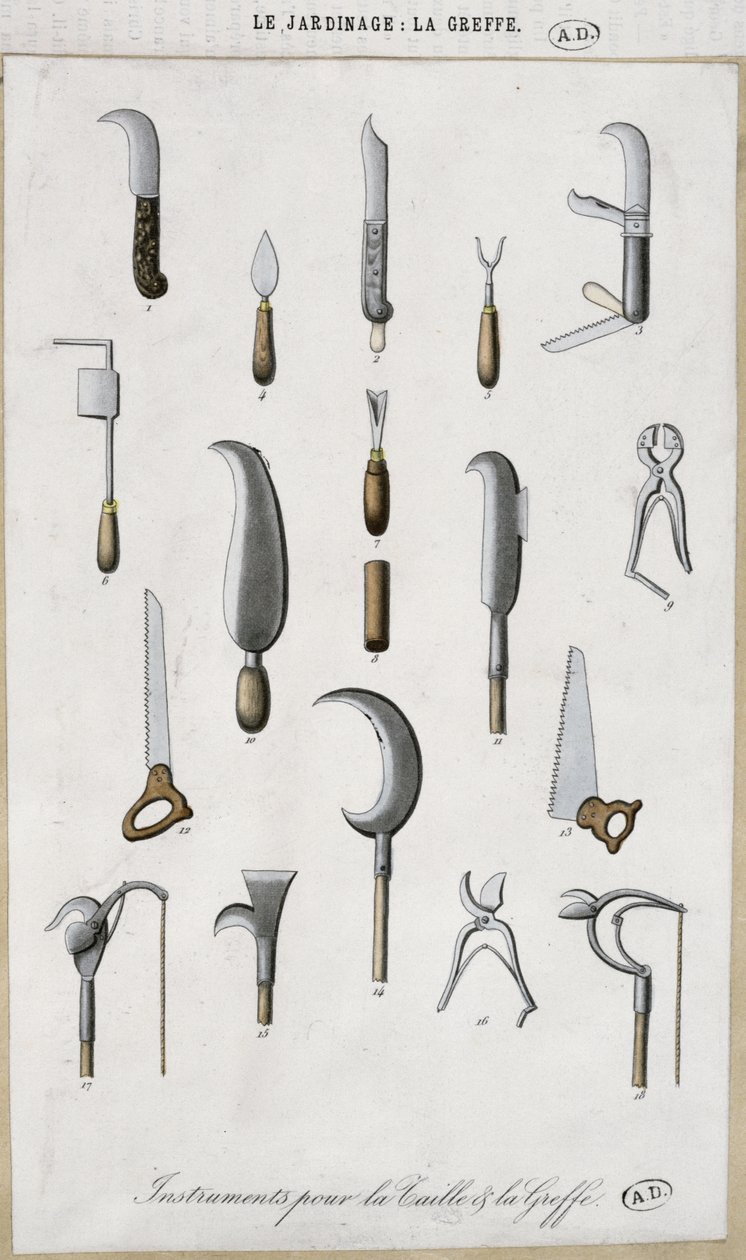 Hageredskaper for poding og beskjæring (fargegravering) av French School