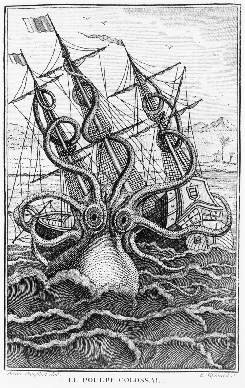 Giant Octopus, illustrasjon fra General and Particular Natural History of Molluscs av ​​Denys-Montfort, ca. 1802-03 av French School