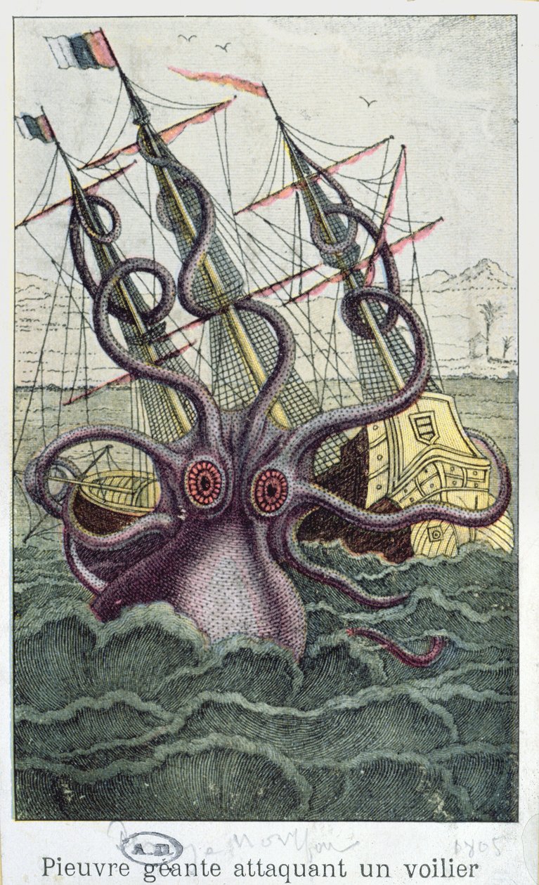 Giant Octopus, illustrasjon fra General and Particular Natural History of Molluscs av ​​Denys-Montfort, ca. 1802-03 av French School