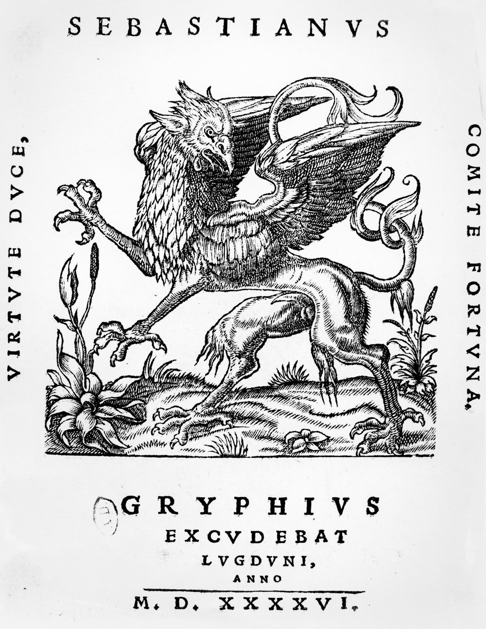 Griffin skriveremblem til Sebastianus Gryphius, Lyon, 1546 av French School