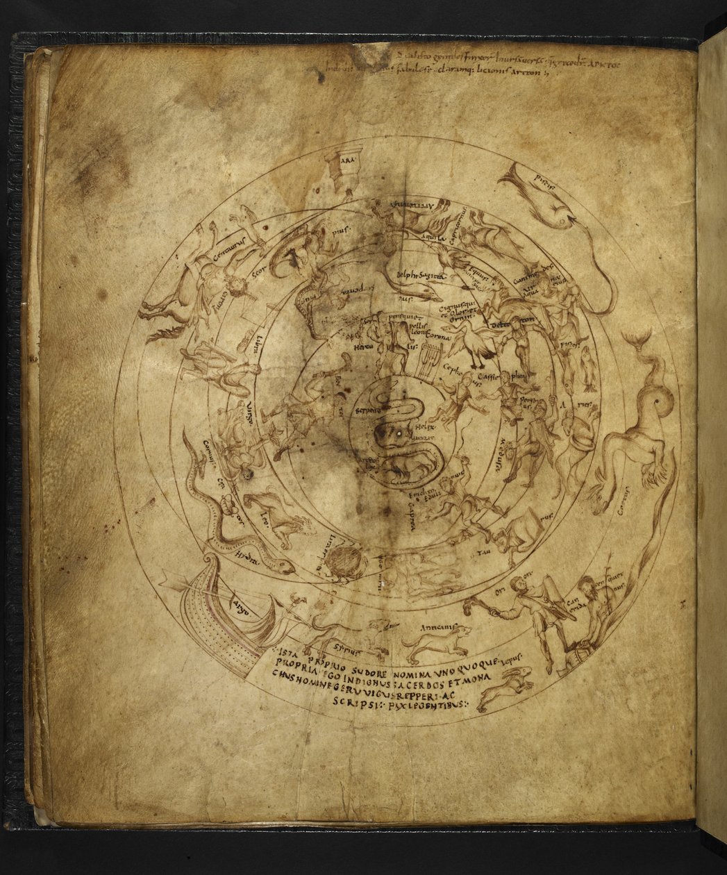 Harley 647 f.21v Diagram over den nordlige og sørlige halvkule, fra 'Aratus' av Marcus Tullius Cicero (vellum) . av French School