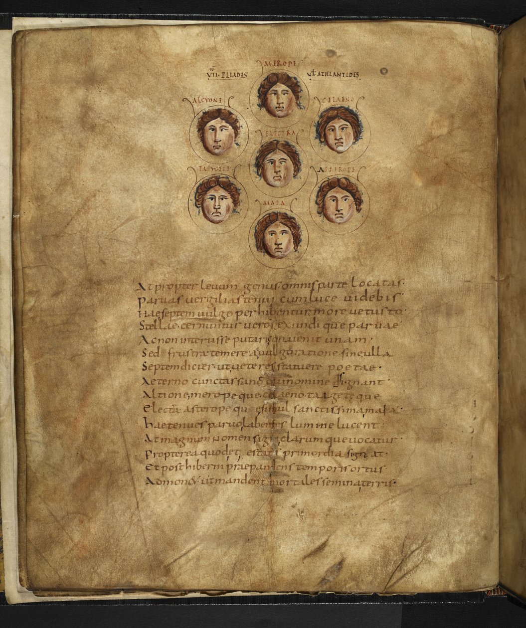 Harley 647, f.4v Illustrasjon av ansiktene til Pleiadene, syv søstre som levde i himmelen som stjerner, med navn påskrevet rundt dem, fra 