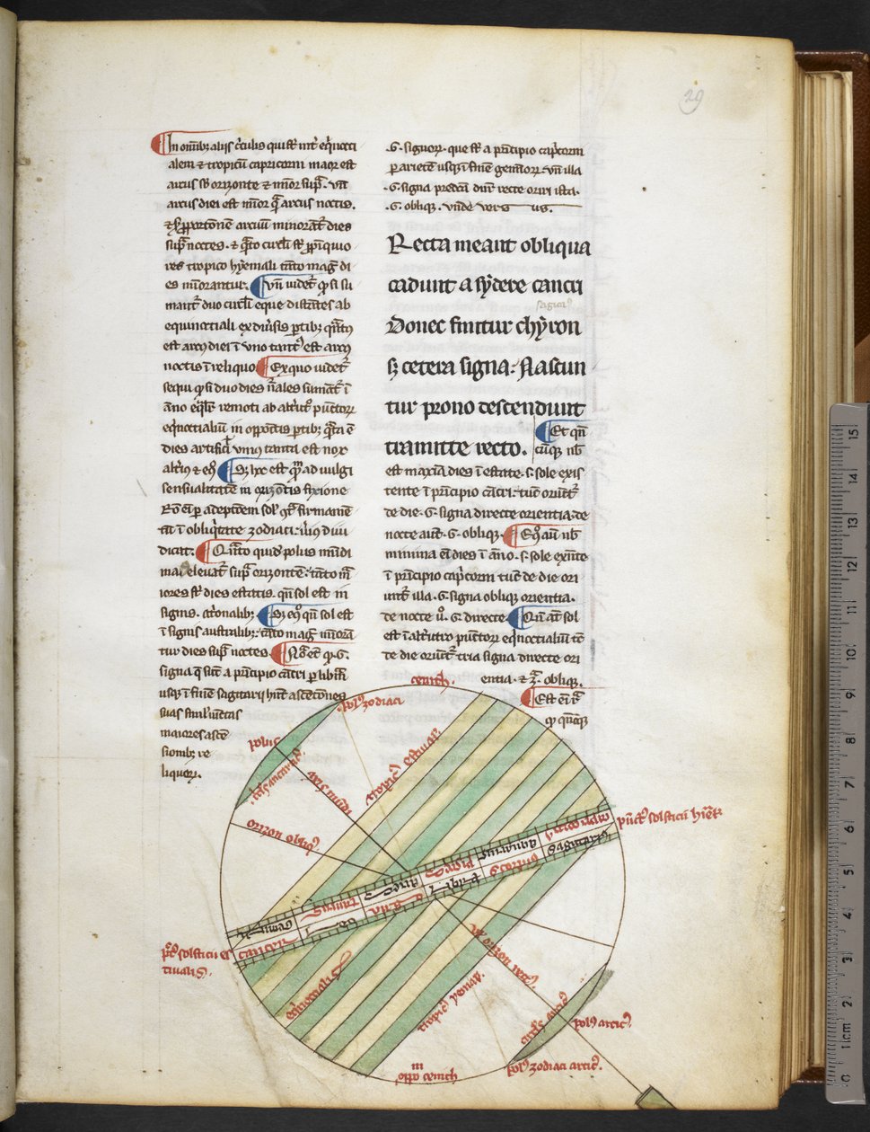 Harley MS 3647 f.29 fra 
