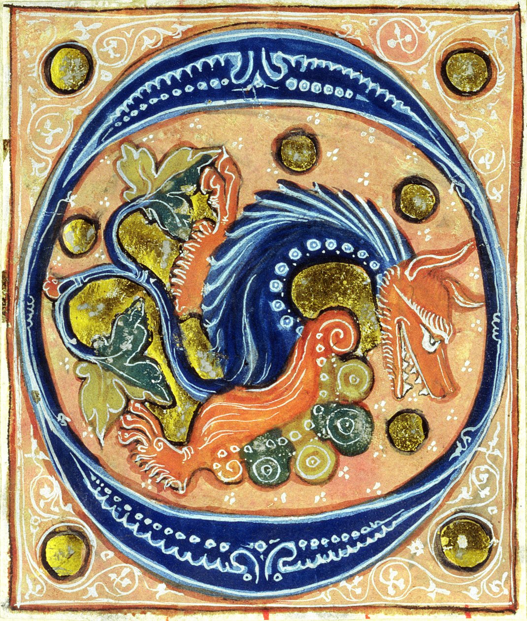Historikert initial O som viser en griffin av French School