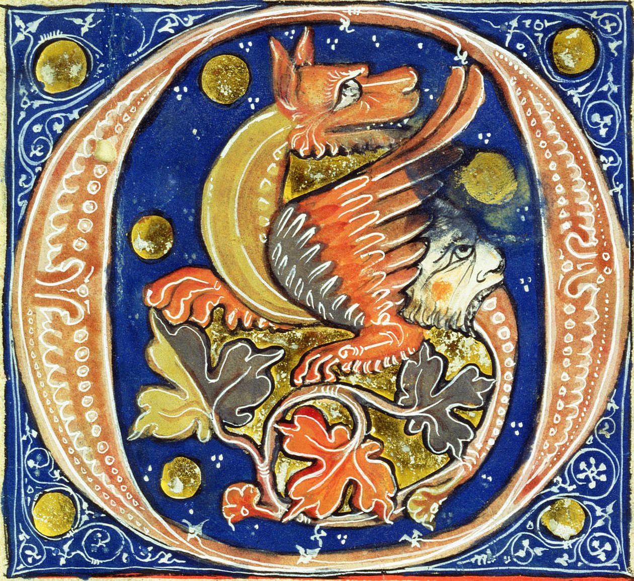 Historikert initial O som viser en bevinget griffin av French School