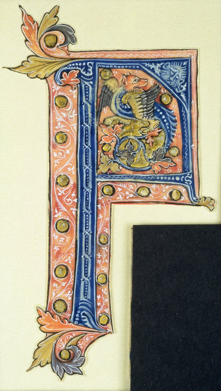 Historikert initial P som viser en bevinget griffin av French School