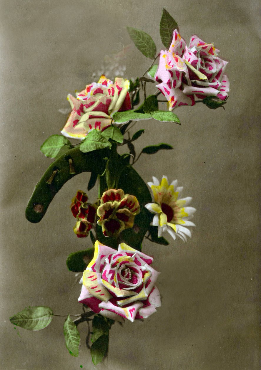 Hestesko og blomster ca. 1898 (håndfarget foto) av French School