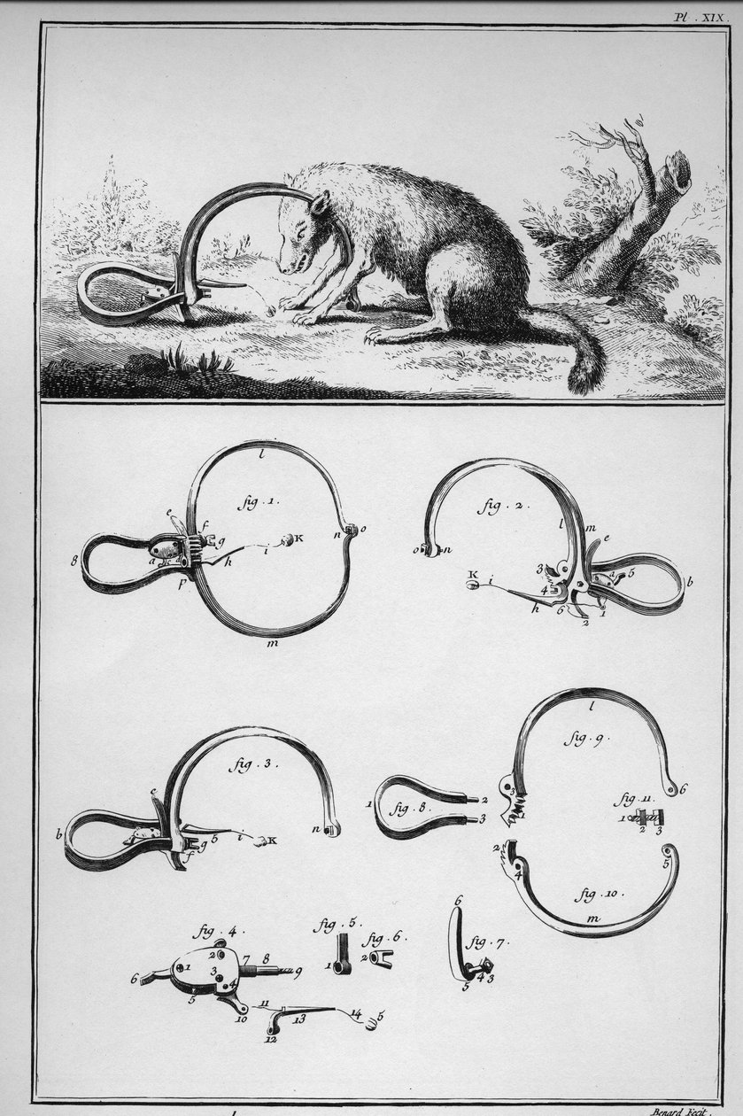 Jakt - rev fanget ved sporet (Piege) - "" The Great Encyclopedie, ou Dictionnaire Raisonne des Sciences, des Arts et des Metiers"" (Encyclopedia or Dictionary of the Sciences, Arts and Professions) av Denis Diderot (1713-1784) og Jean d