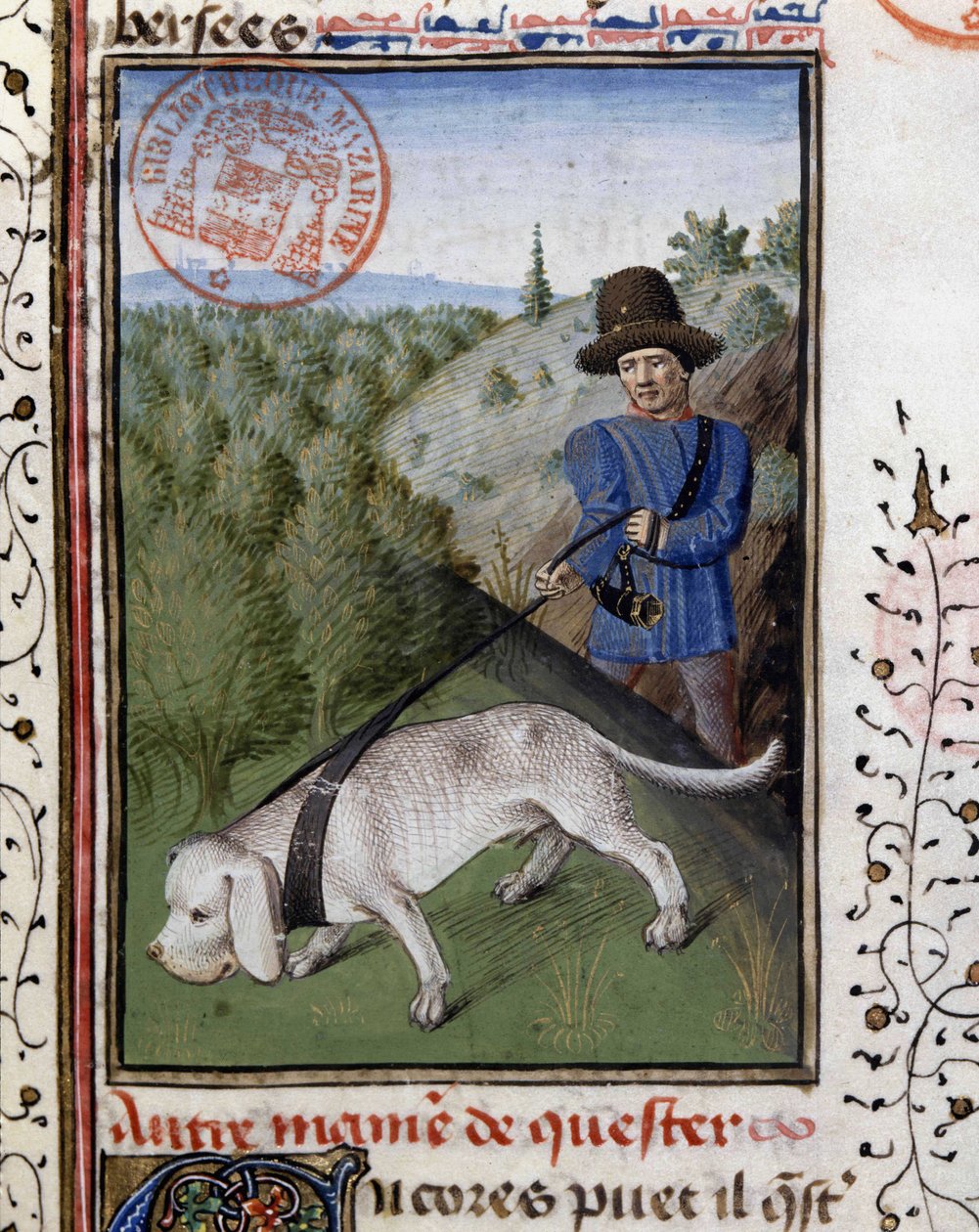 Jakthund holdt i bånd - i "" Book of Hunting av Gaston Phoebus, greve av Foix, Lord of Béarn"" av French School