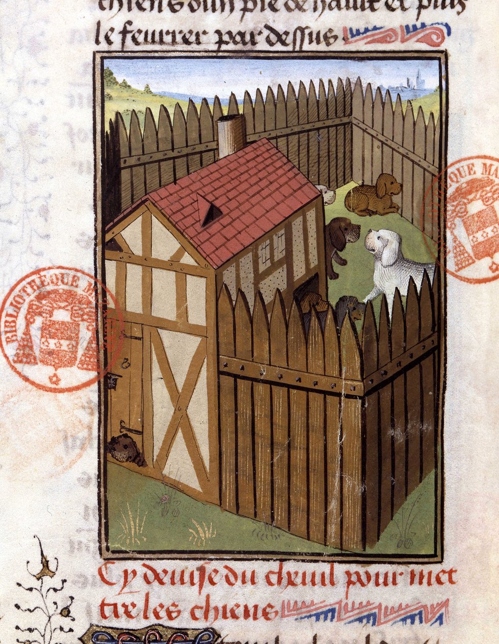 Jakthunder i en kennel - i "" Jaktbok av Gaston Phoebus, greve av Foix, Lord of Bearn"" av French School