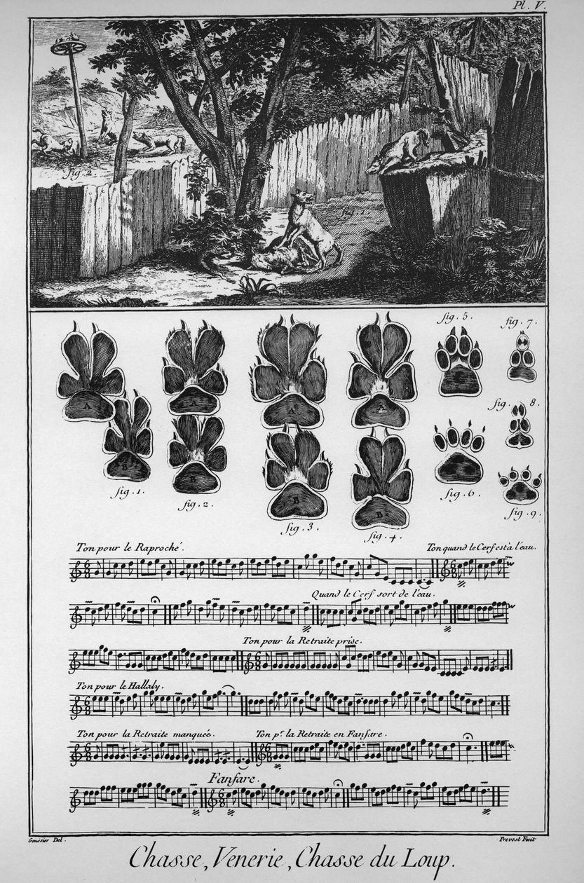 Å jakte på ulven (ulike måter eller feller å ta ulvene på) - "" The Great Encyclopedie, ou Dictionnaire Raisonne des Sciences, des Arts et des Metiers"" (Encyclopedia or Dictionary of the Sciences, Arts and Professions) av Denis Diderot (1713) -1784) og av French School
