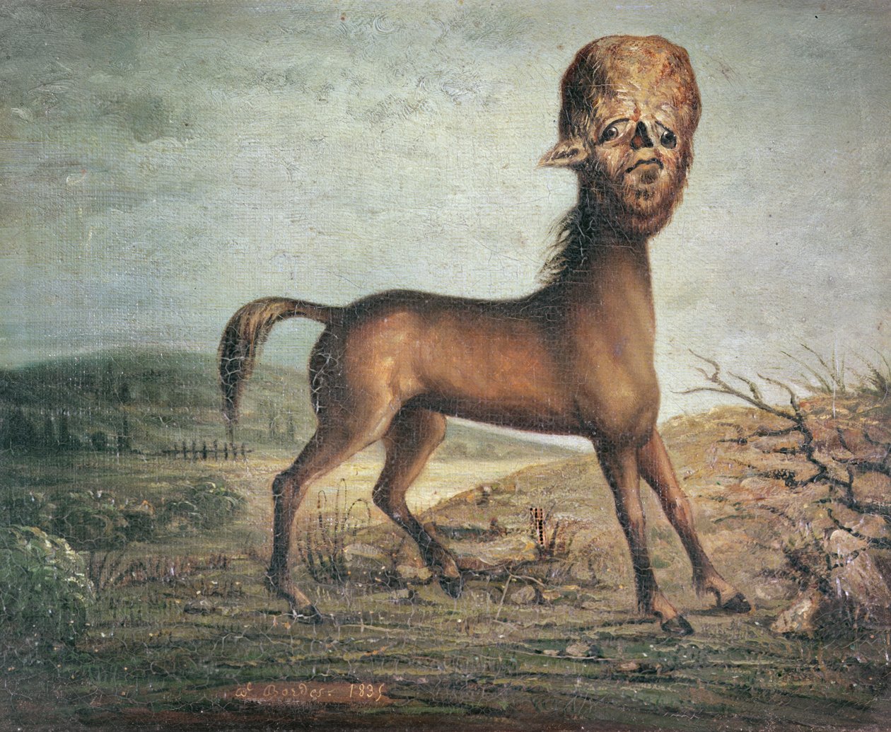 Hydrocephalic hoppe, født 21. januar 1821, 1835 av French School