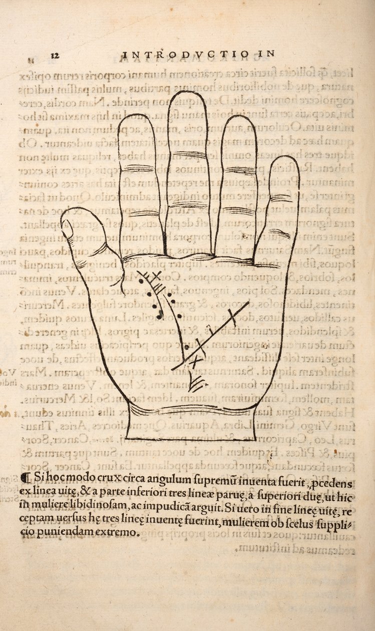 Illustrasjon fra Chiromantia av Joannes Indagioe, Strasbourg, 1531 (trykk og gravering) av French School