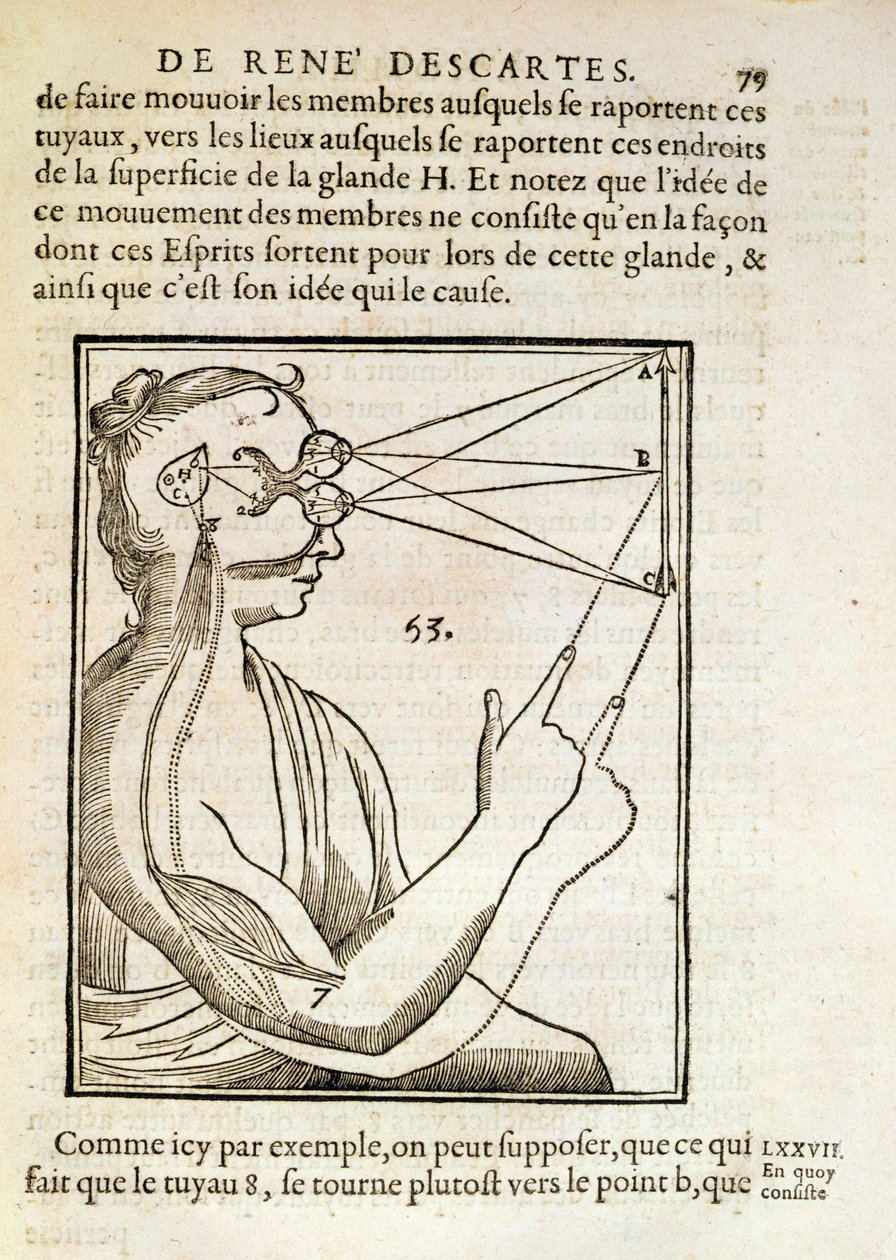 Illustrasjon fra De Homine Figuris av Rene Descartes (1596-1650) utgitt i Haag, 1662 av French School