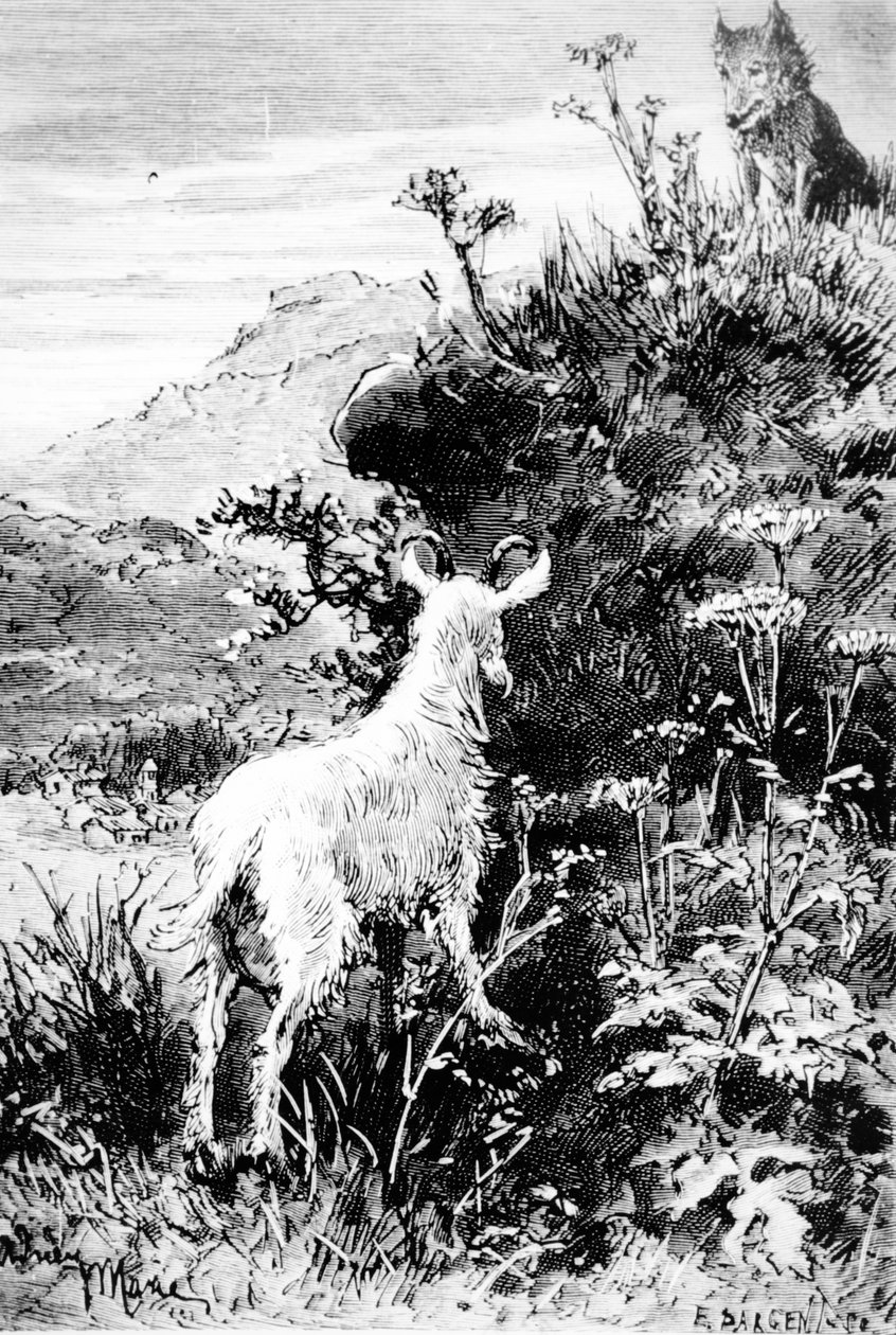 Illustrasjon fra Mr. Seguins Goat av Alphonse Daudet av French School