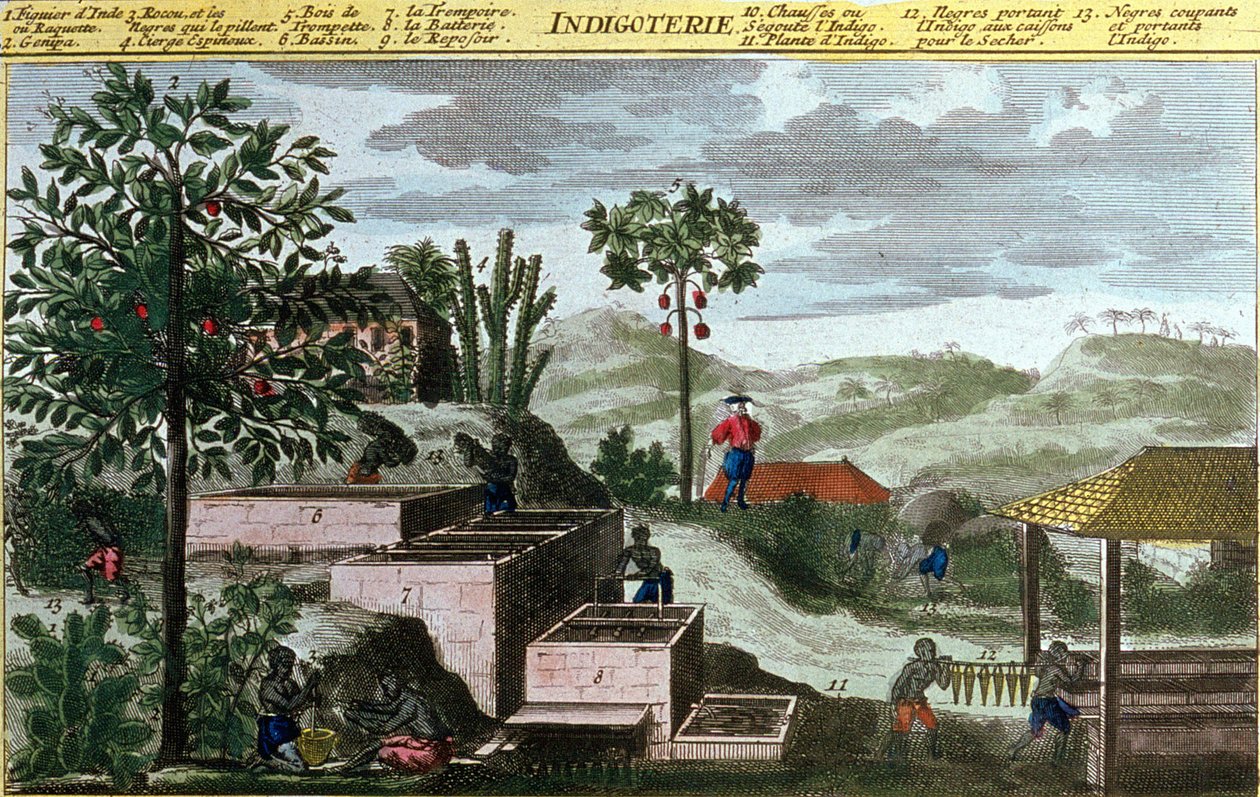 Indigoterie i Vest-India, detalj av 00155 - i "" Antillenes generelle historie bebodd av franskmennene av Du Tertre", tidlig på 1800-tallet av French School