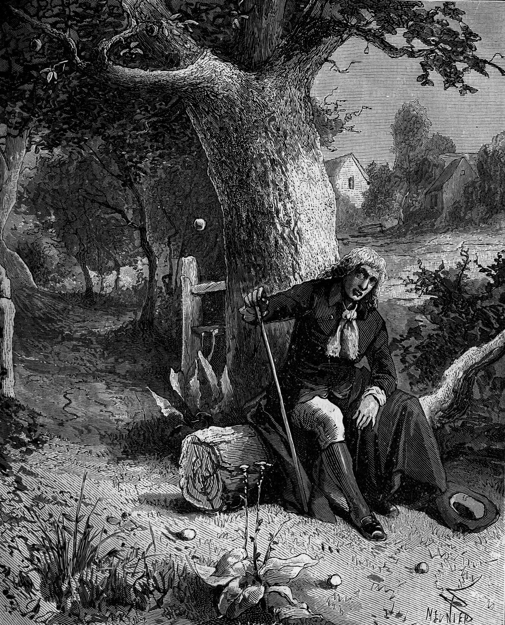 Isaac Newton (1642-1727), engelsk matematiker og astronom, oppdager forestillingen om jordens tyngdekraft gjennom et eple som faller fra et epletre i Woolsthorpe. av French School