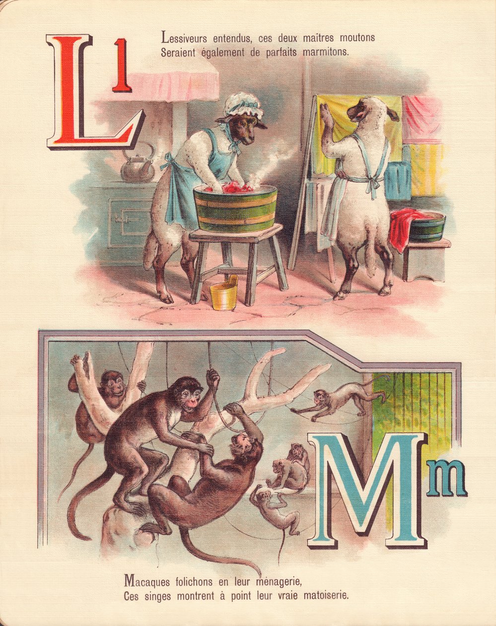 L M: Lam, klesvask, aper, menasjeri av French School