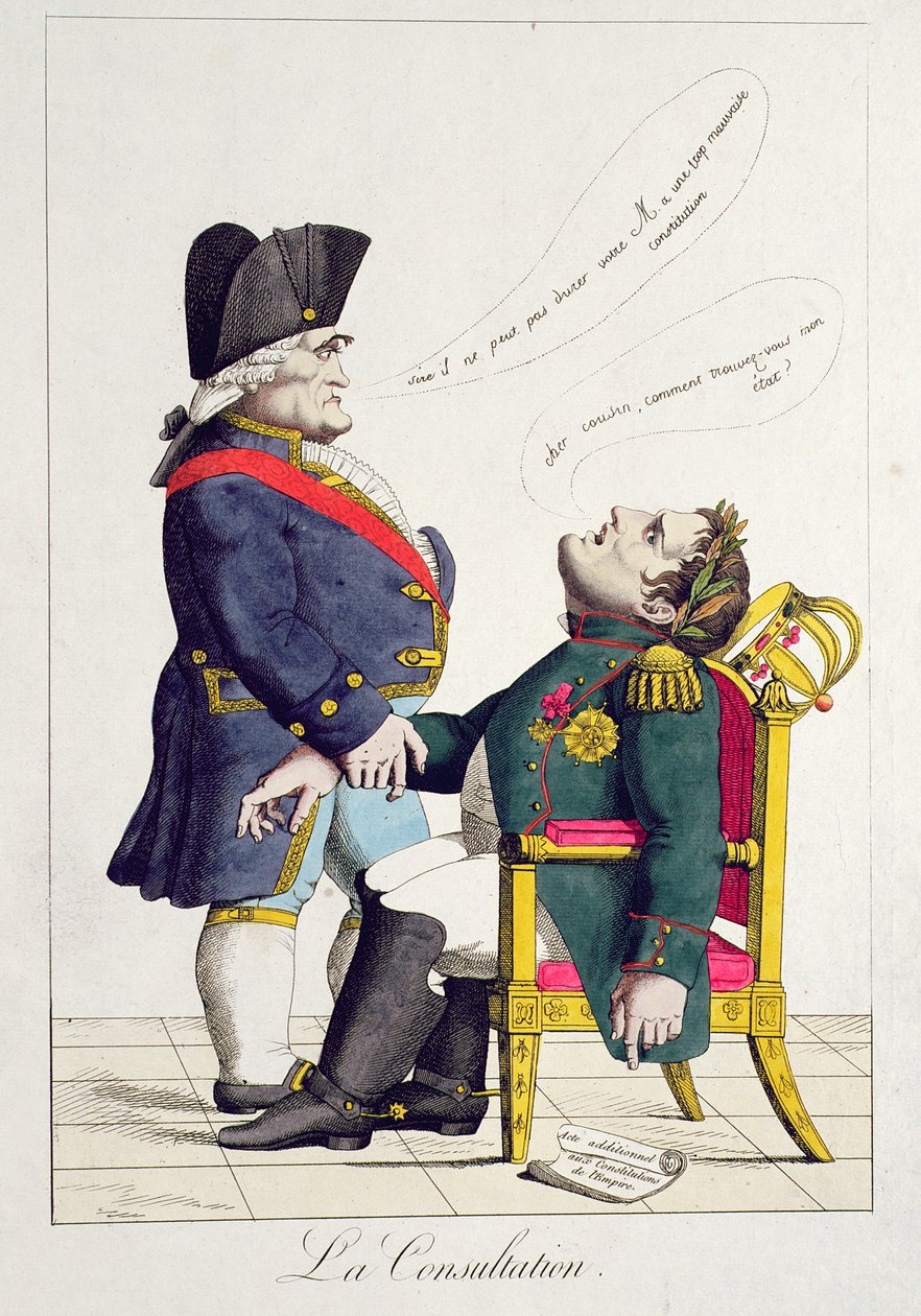 La Consultation, mai 1815 av French School
