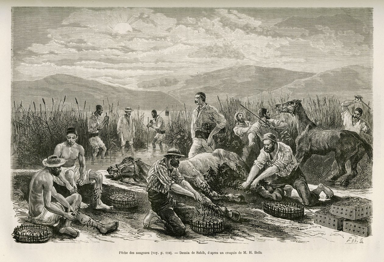 The Fishing of the Leeches, tegnet av Sahib, for å illustrere historien om Henry Belle: Travel in Greece av French School