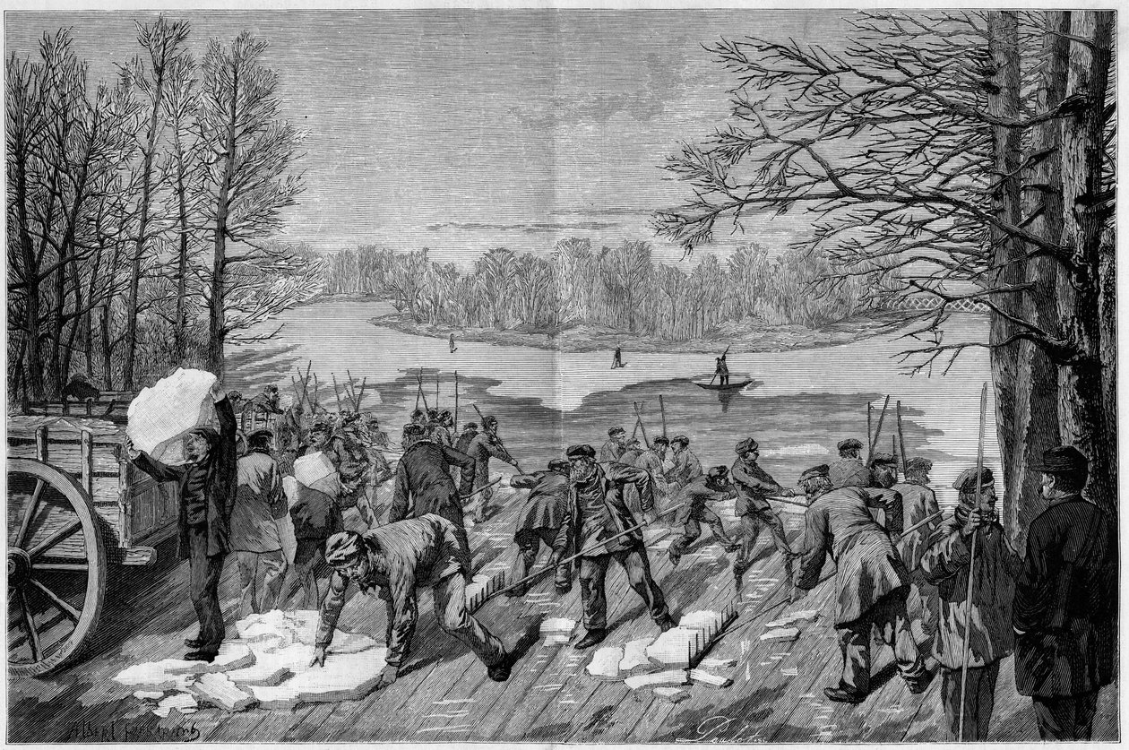 Høsting av is på de frosne innsjøene i Bois de Vincennes, i "The Illustrous World"" 1887. av French School