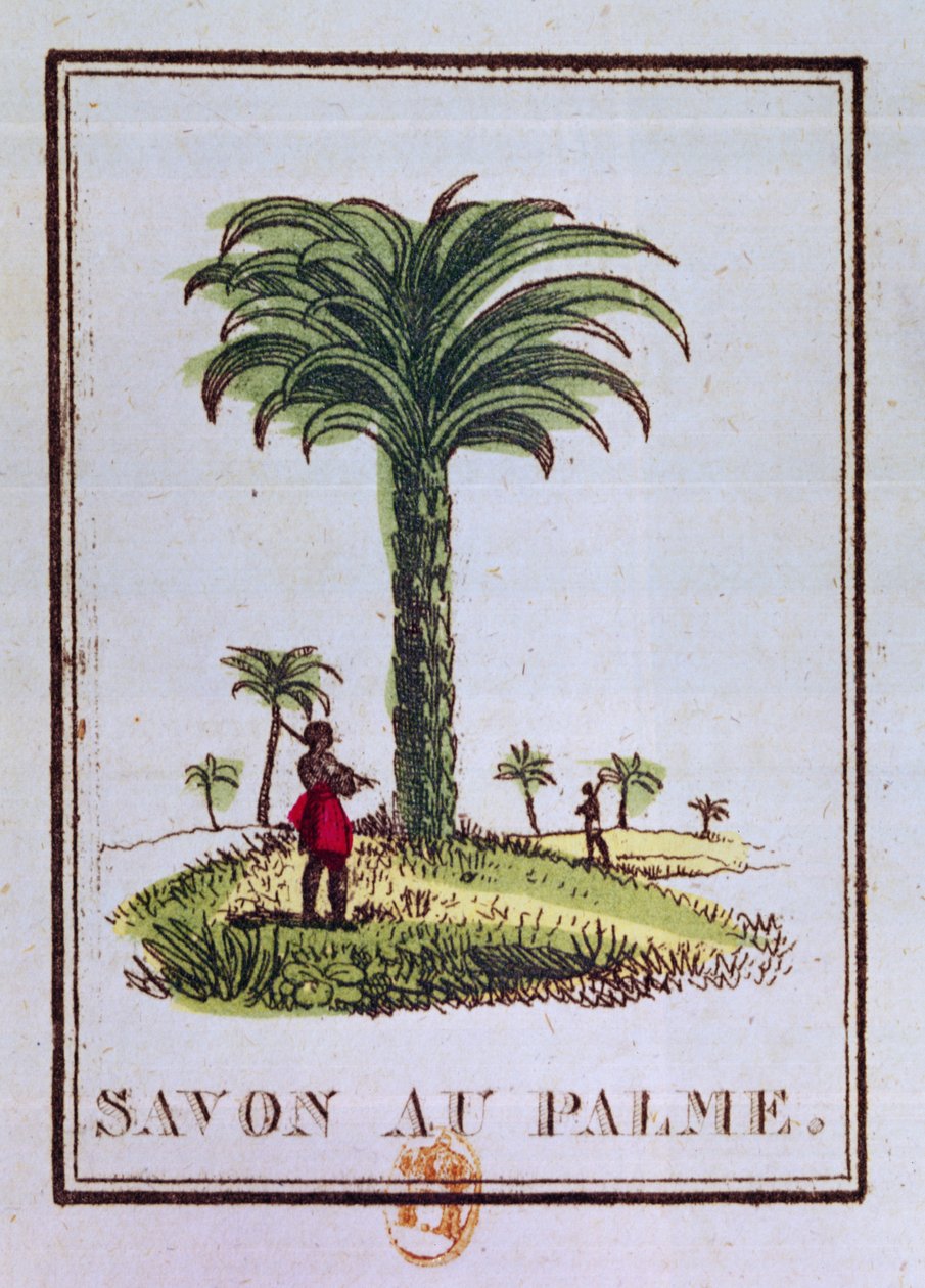 Etikett for en palmeoljeduftende såpe, som viser et palmetre av French School