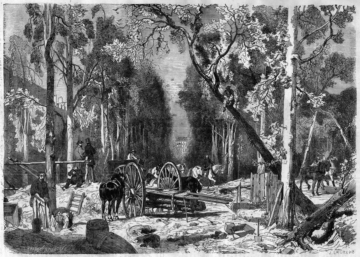 Vedhoggeren i Luxembourg-hagen i Paris i 1870 - Gravering fra 1870 av French School