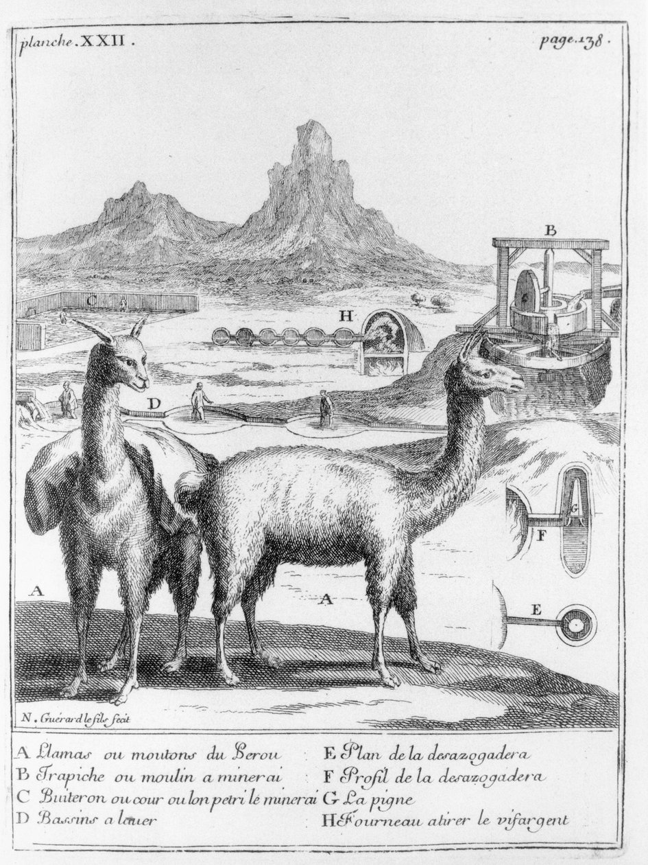 Lamaer og diagrammer angående mineralutvinning, fra Relation du voyage de la mer du sud aux cotes du Chily et du Perou av A.F. Frezier, 1716 av French School