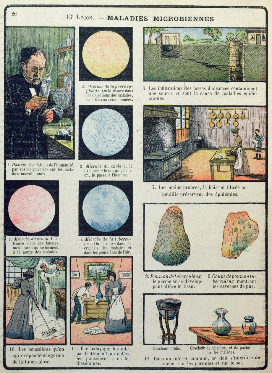 Louis Pasteur (1822-95) og bakterielle sykdommer, fra Les Sciences Physiques et Naturelles, Paris, 1908 av French School