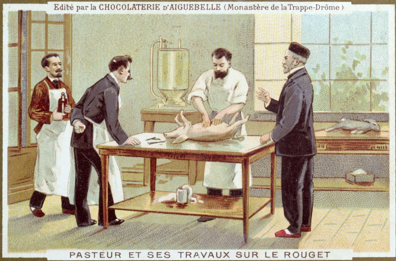 Louis Pasteur (1822-95) arbeider med etterforskning av meslinger, reklamekort for Chocolaterie dAiguebelle av French School