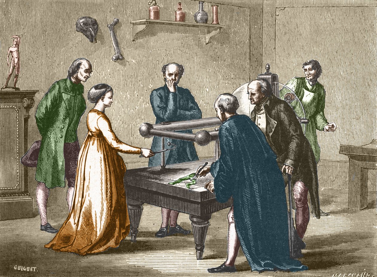 Luigi Galvani, professor i Bologna, oppdaget i 1780 irritabiliteten til froskemusklene ved elektrisitet - i "Album of Science; berømte vitenskapsmenn; Store funn""" 1896. av French School