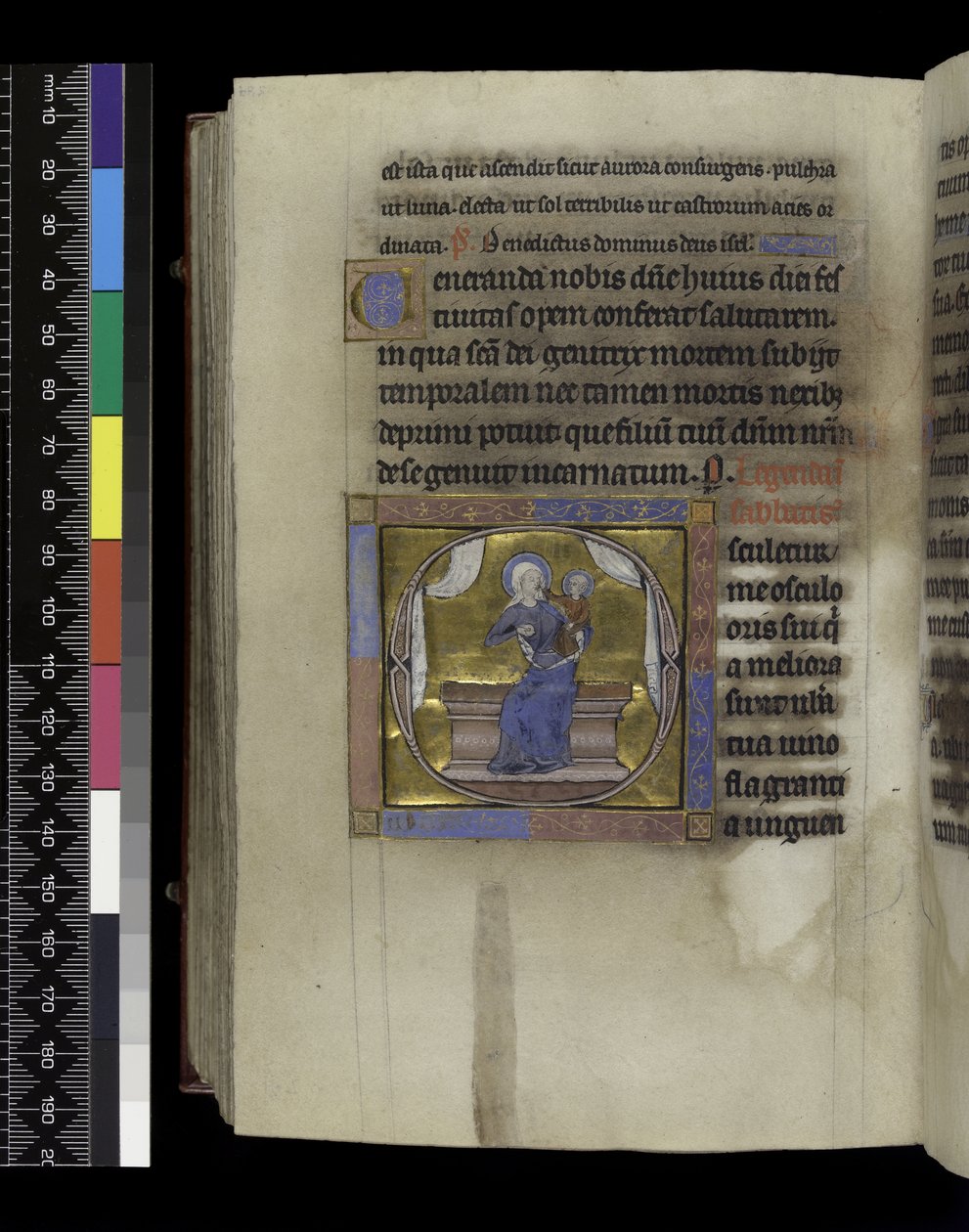 MS 300 f.284v, Song of Songs, fra Psalter and Hours of Isabella of France, Paris, ca. 1265-70 (penn og blekk og tempera på pergament) av French School