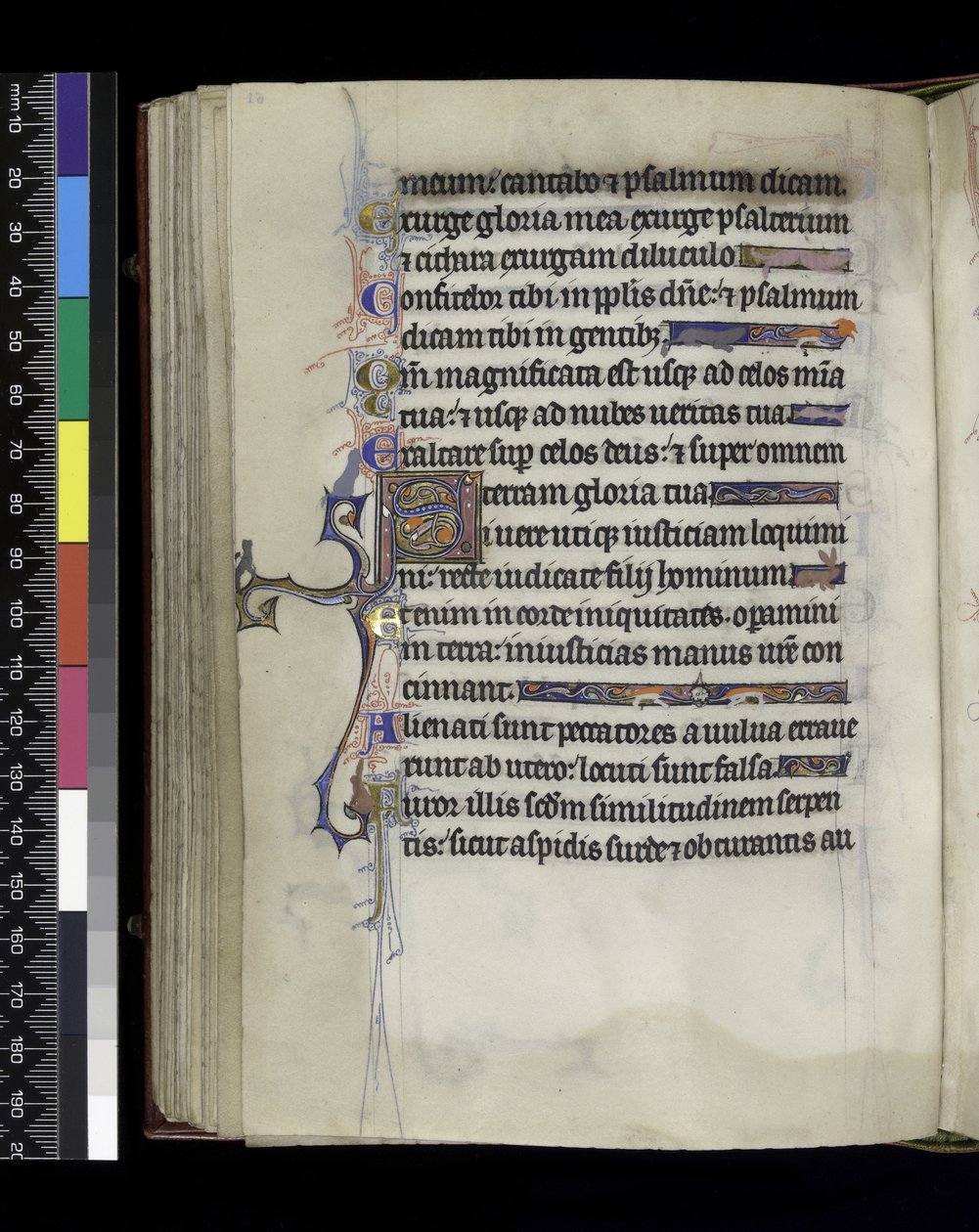 MS 300 f.61v, folio fra Psalter and Hours of Isabella of France, Paris, ca. 1265-70 av French School