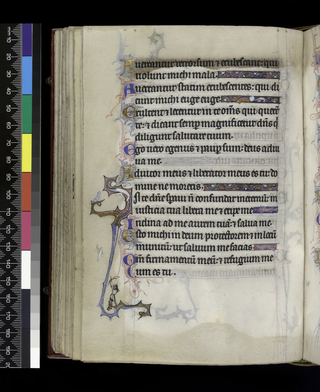 MS 300 f.73v, fra Psalter and Hours of Isabella of France, Paris, ca. 1265-70 av French School