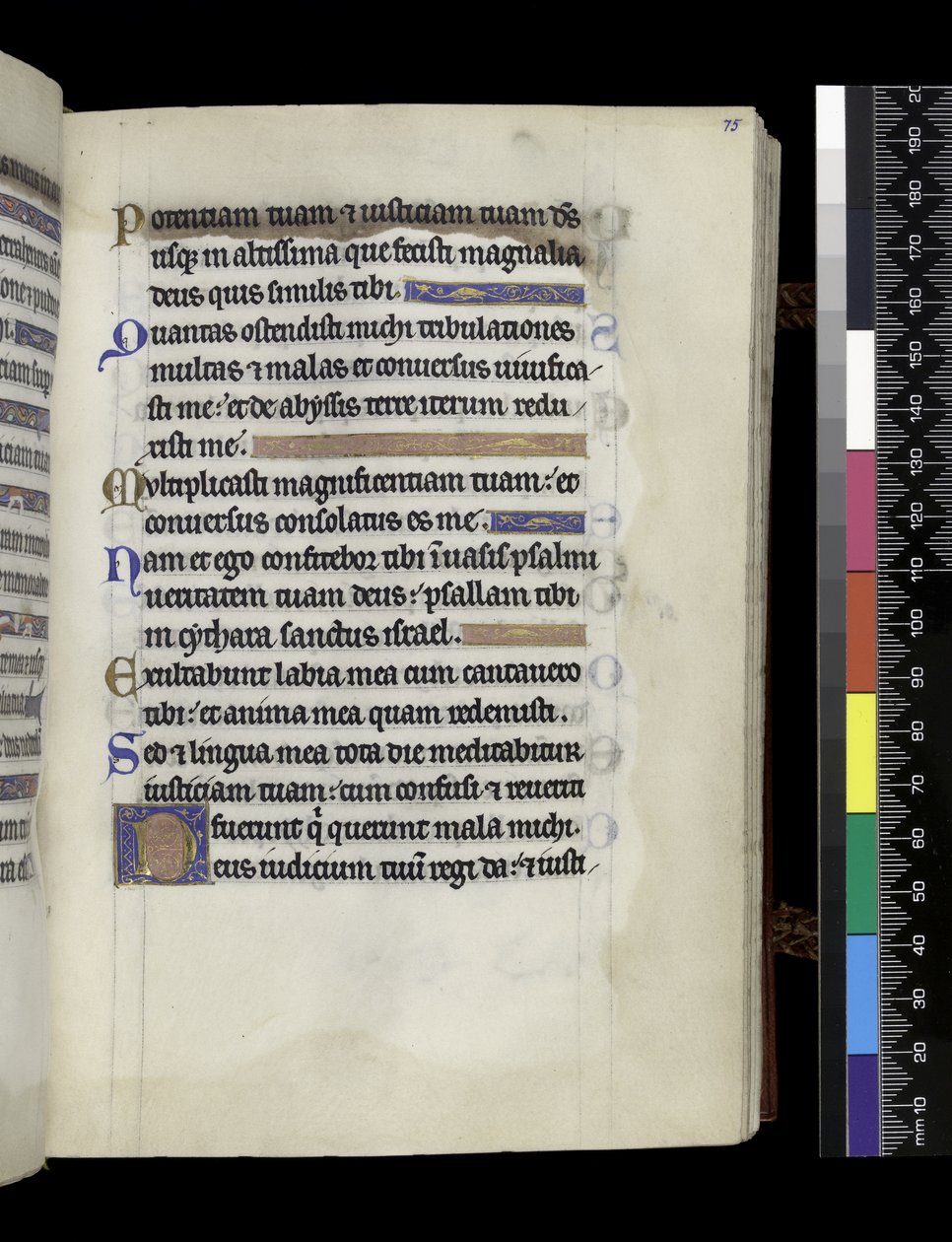 MS 300 f.75r, fra Psalter and Hours of Isabella of France, Paris, ca. 1265-70 (penn og blekk og tempera på pergament) av French School