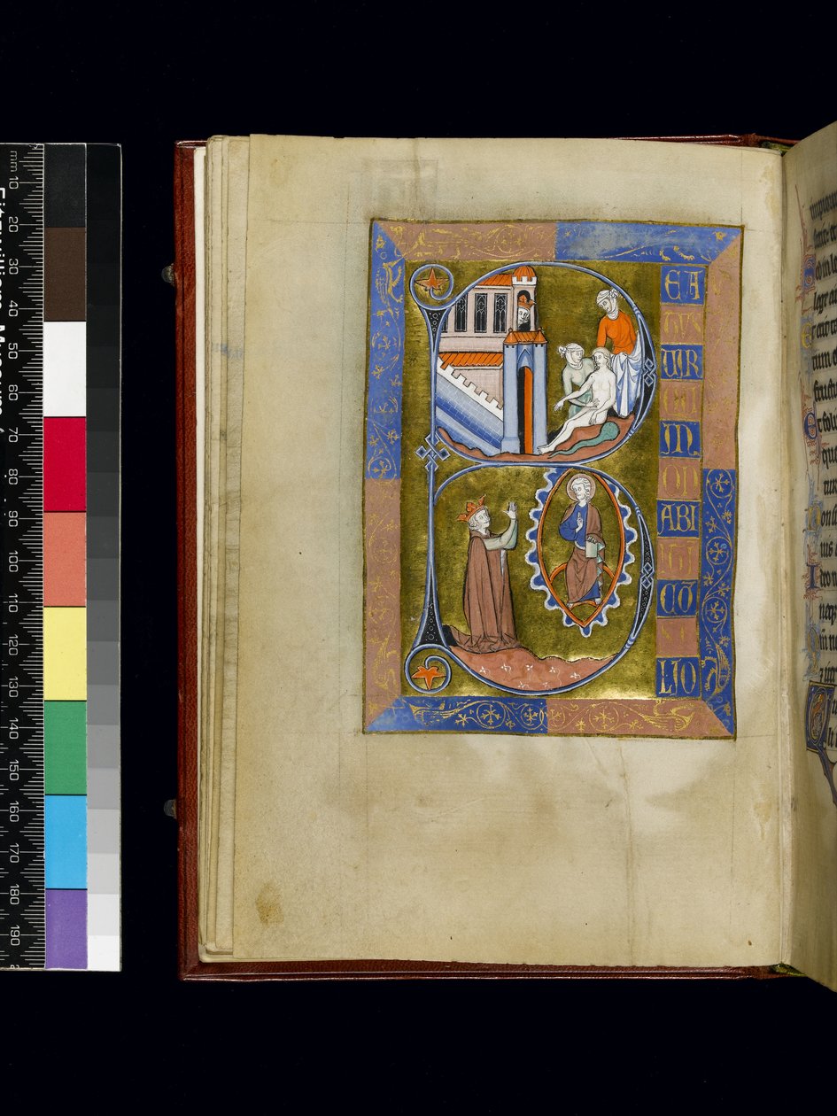 MS 300 f.XIII, folio fra Psalter and Hours of Isabella of France, Paris, ca. 1265-70 (penn og blekk og tempera på pergament) av French School