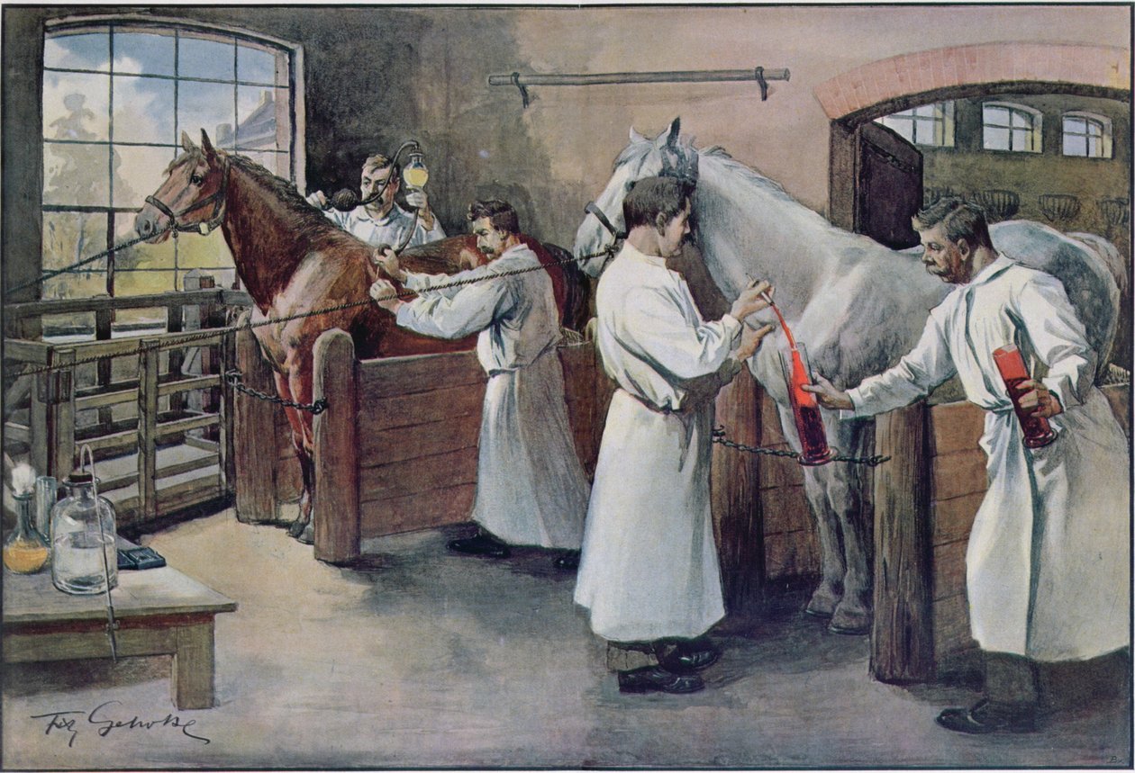 Å lage difteriserum fra hesteblod, fra Les Animaux, ca. 1900 av French School