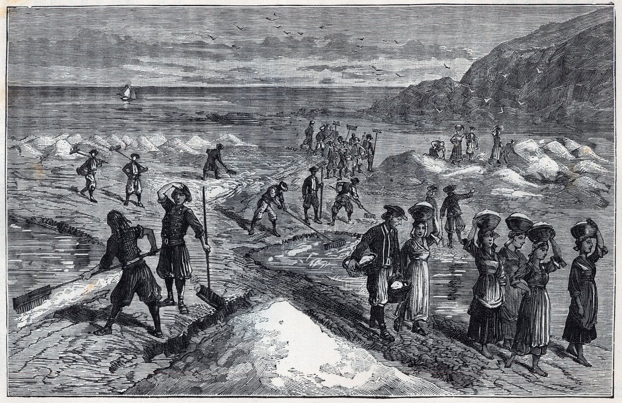 Marais salants de Bretagne på 1800-tallet - Gravering i "Vitenskaper brakt til stipendenes takknemlige - fysikk og kjemi" av Alexis Clerc - Sent på 1800-tallet - Privat samling av French School
