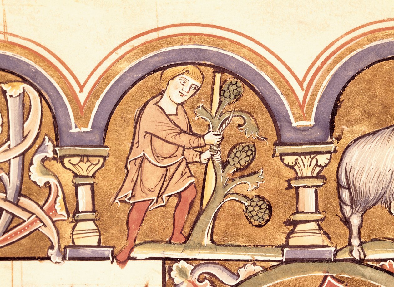 Mars: Pode trær, fra Psalter of St. Elizabeth av French School