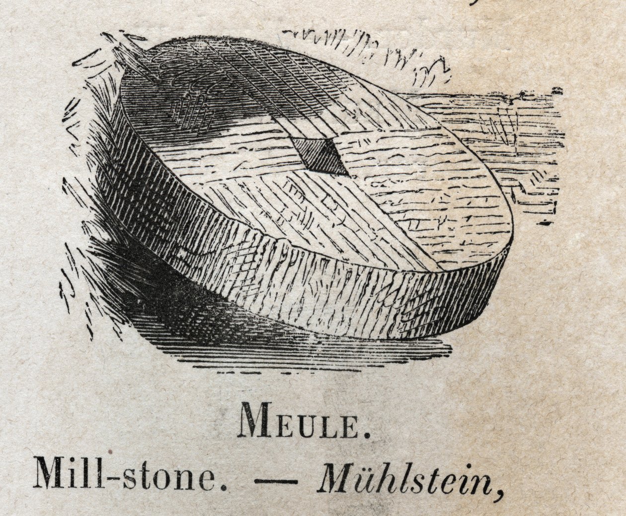 Mill-stone in “” the vocabulary illustrates common words”” by Armand Le-Brun. 1890 av French School