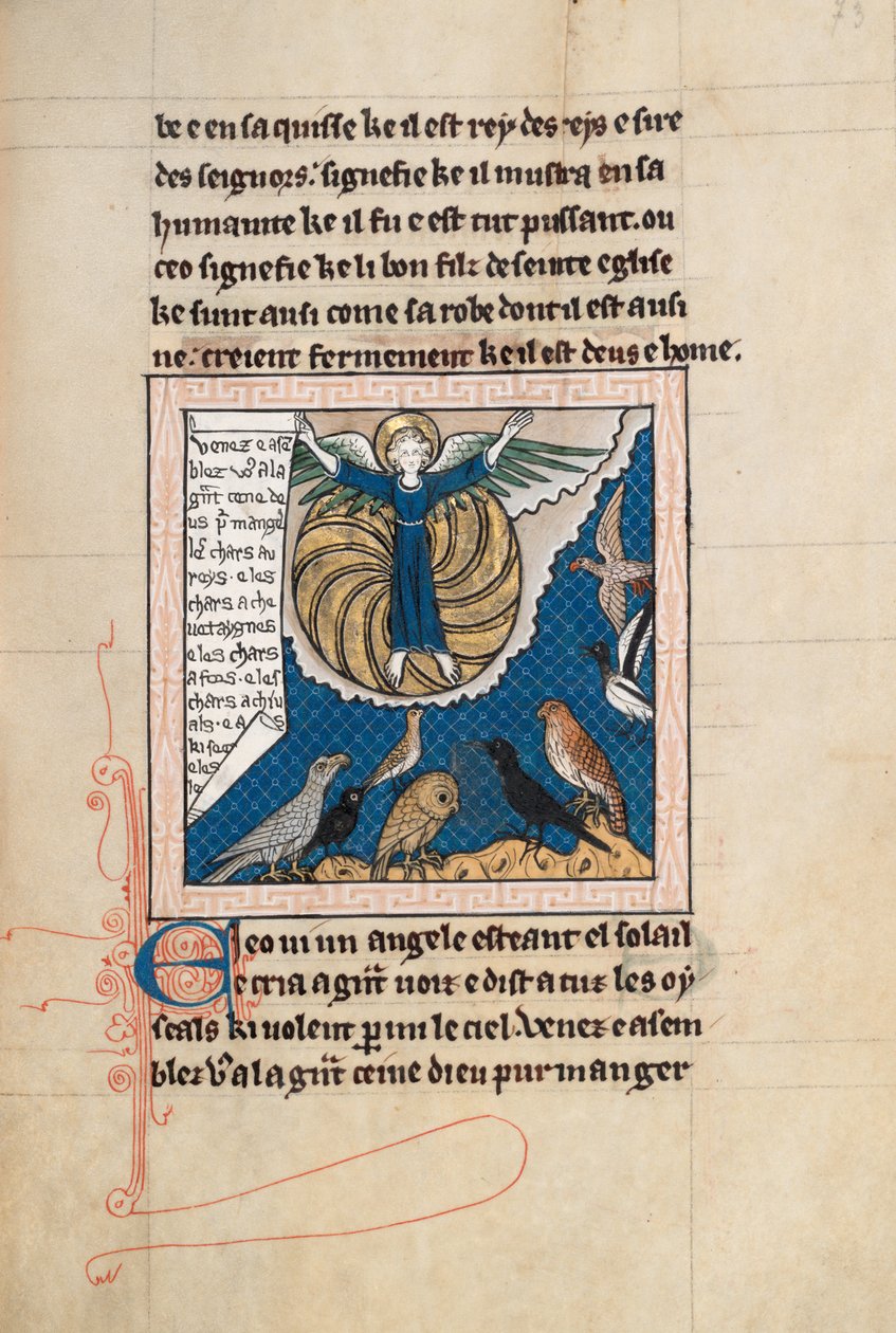 Ms65 f73r, Commentary on the Apocalypse of St John, sent på 1200-tallet (penn og blekk og tempera på vellum) av French School